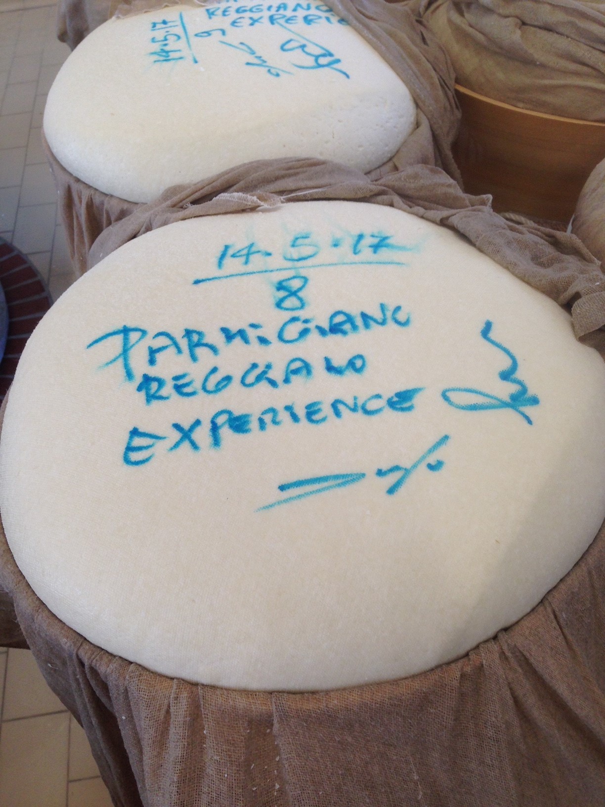 team-Building Day as Cheesemakers