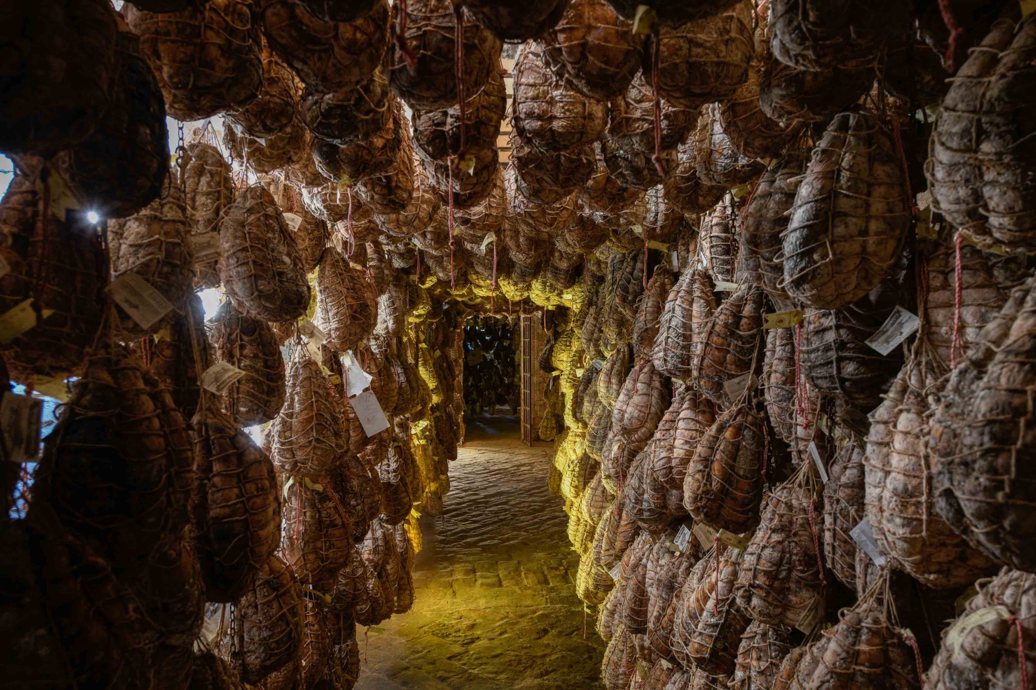 culatello di zibello experience