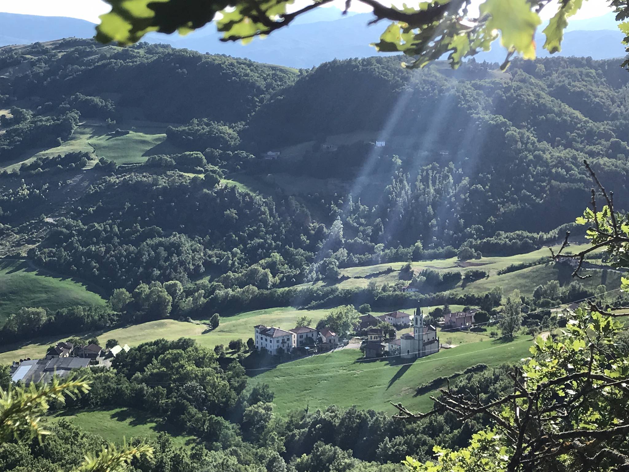 Embarking on a Culinary Learning Journey in the Heart of the Food Valley