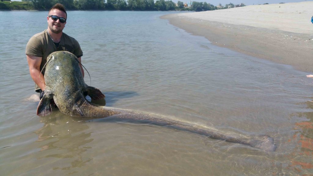 Emilia's River Adventure: river monster experiences on Parma's Waters