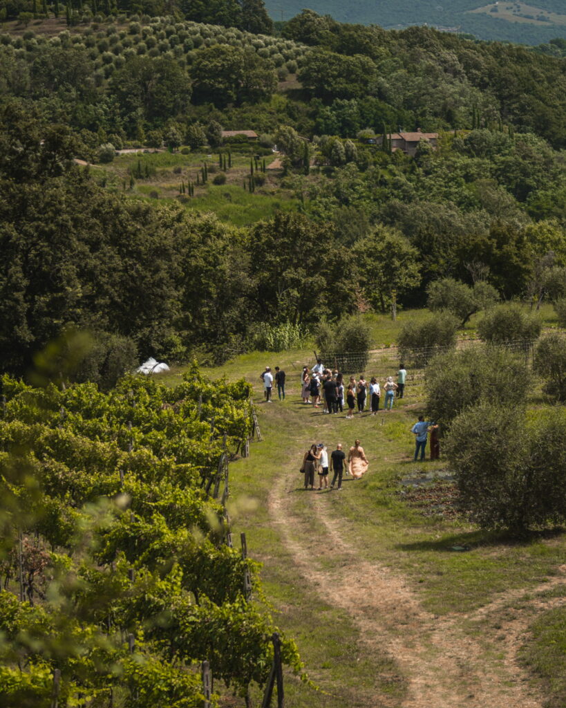 Gruppo di turisti tra i vigneti e la campagna di Parma, per un'esperienza enogastronomica e culturale in Emilia.