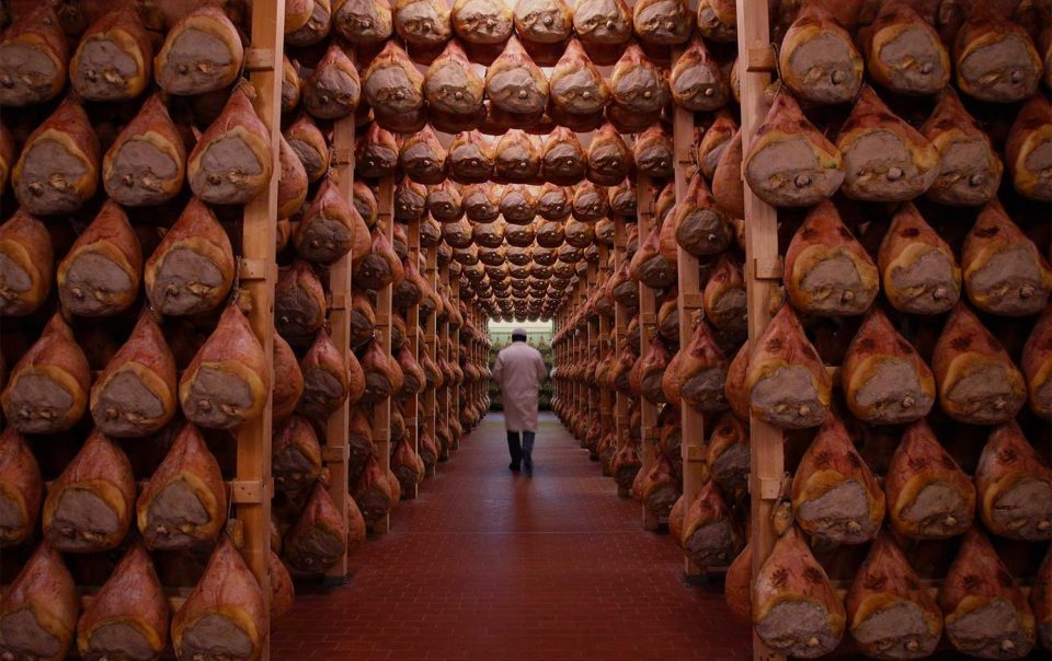 parma food tours experience