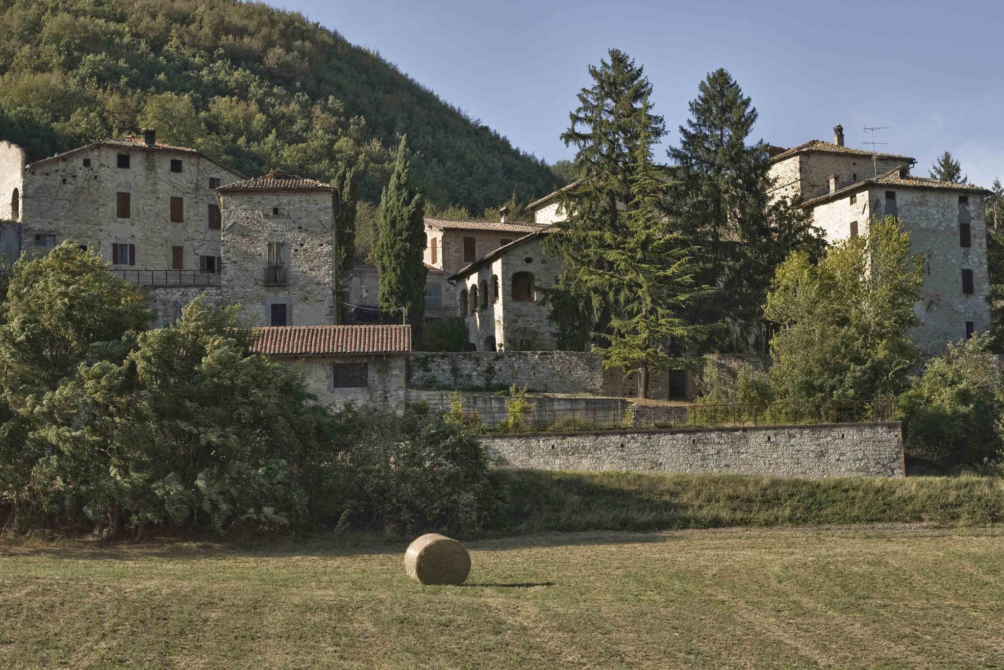 Immersive Journey Through Parma's Hillside Beauty