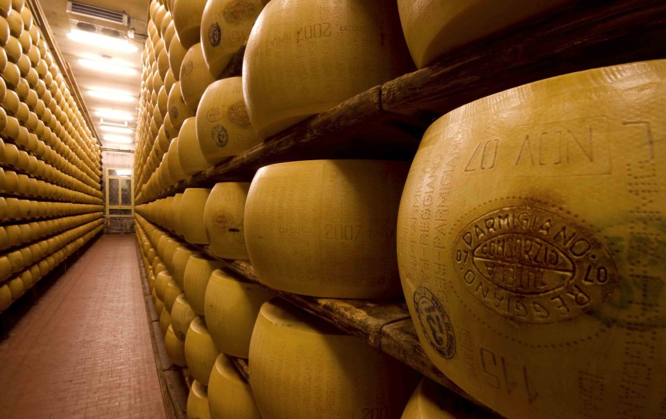 Parmesan cheese Factory Tour